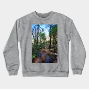 Crystal Clear Crewneck Sweatshirt